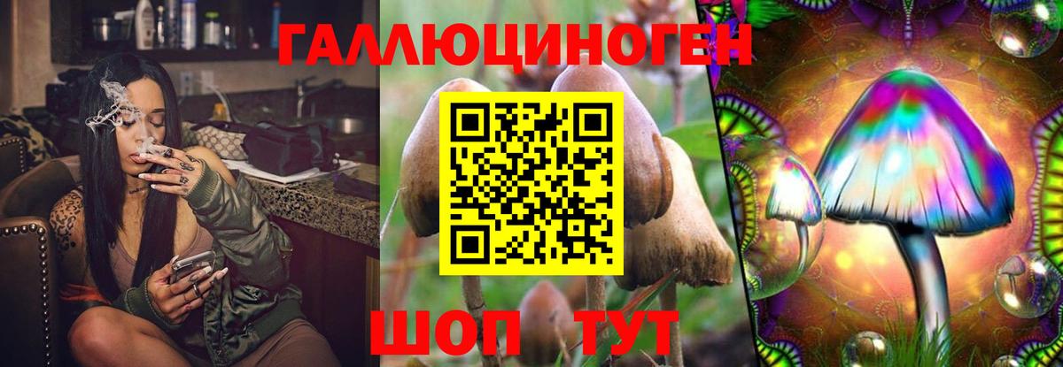 Галлюциногенные грибы Psilocybine cubensis Нефтеюганск